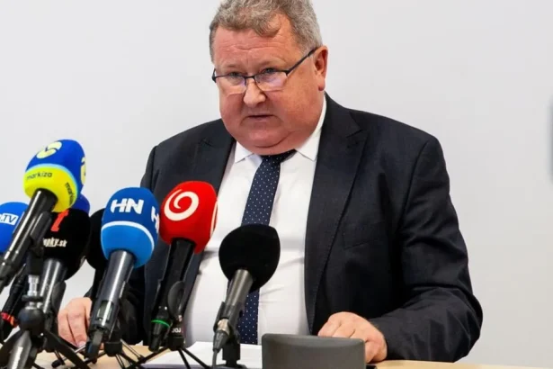 Spotreba energií na Slovensku vlani vzrástla, z dlhodobého hľadiska však klesá