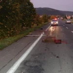 V roku 2019 priemerná škoda dosahovala určitú úroveň