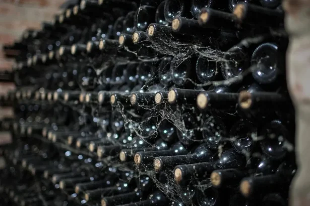 Z vinárstva Marchesi Antinori, ktoré patrí medzi najstaršie