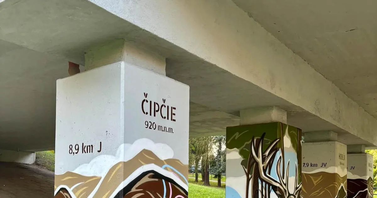 Zo siedmich pilierov vznikla mapa hôr. Nový streetart oživil most na sídlisku